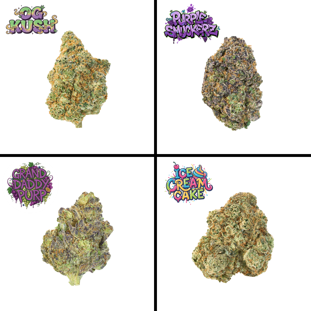 November's Favorites Bundle (14g)