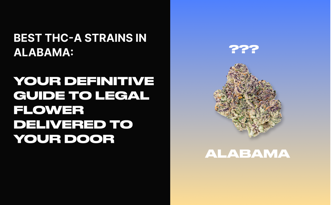 Best THCA Strains in Alabama: Your Definitive Guide to Legal Flower Delivered to Your Door