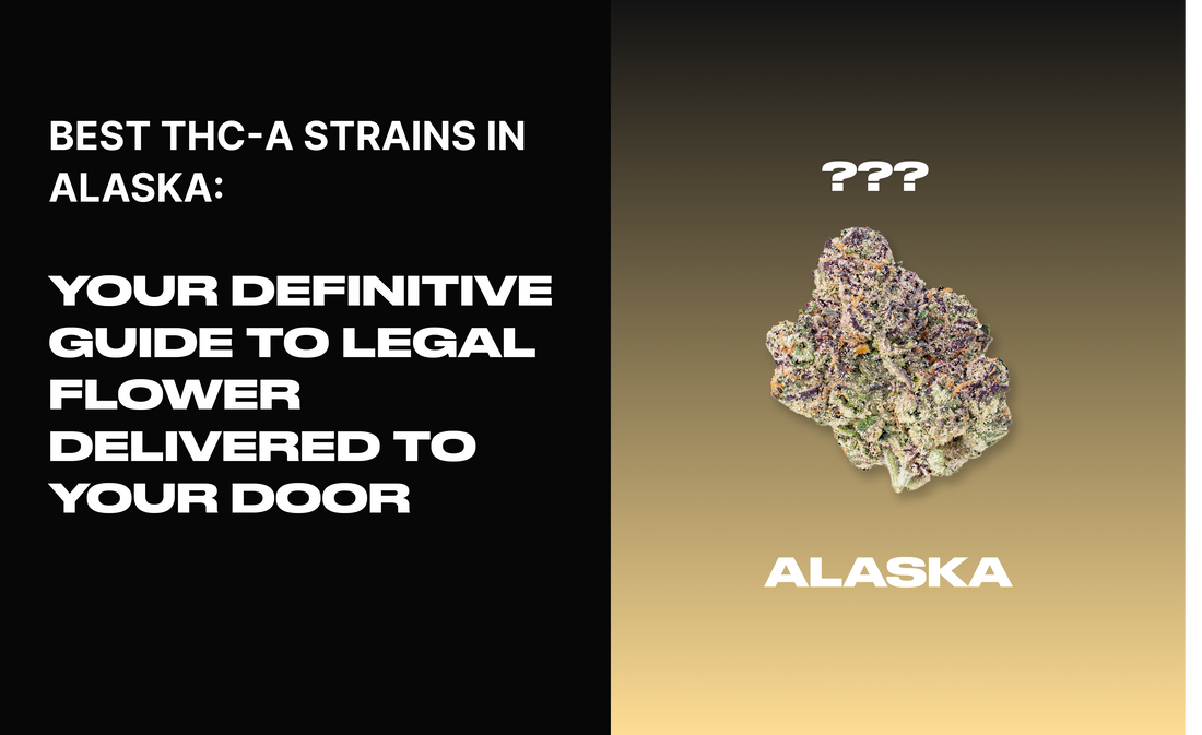Best THCA Strains in Alaska: Finding Premium Compliant Flower in the Last Frontier