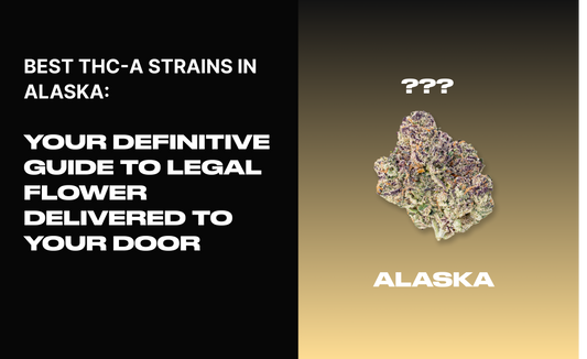 Best THCA Strains in Alaska: Finding Premium Compliant Flower in the Last Frontier