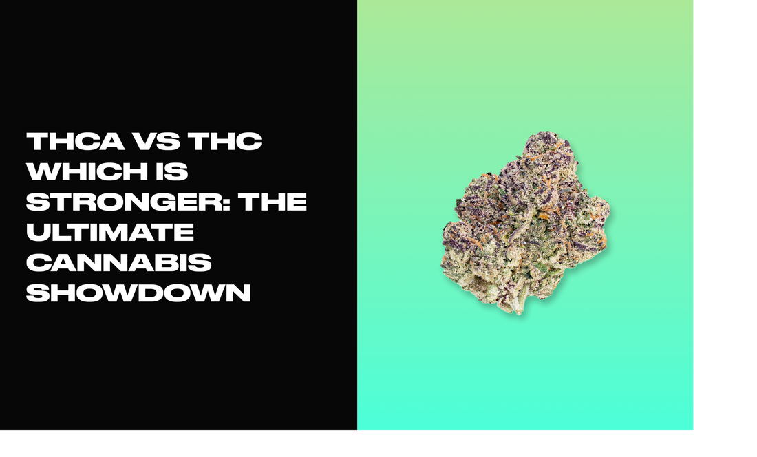 THCA vs THC Which Is Stronger: The Ultimate Cannabis Showdown
