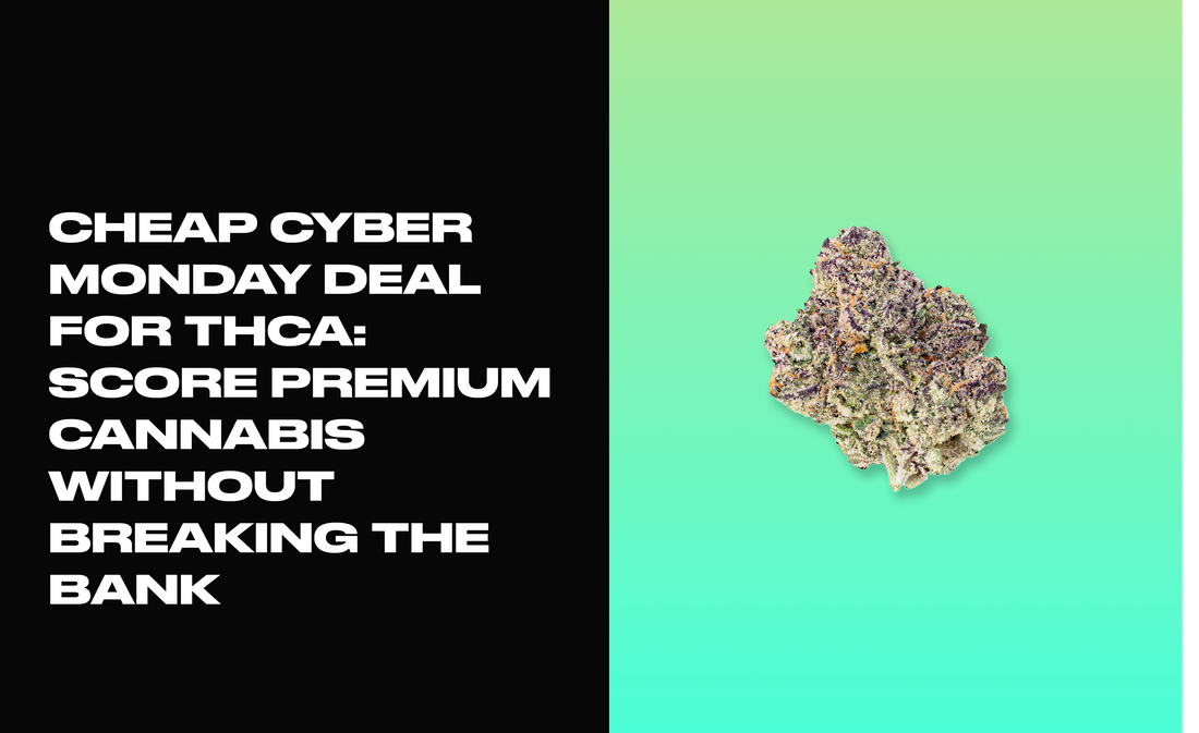 Cheap Cyber Monday Deal for THCA: Score Premium Cannabis Without Breaking the Bank