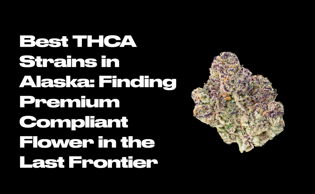 Best THCA Strains in Alaska: Finding Premium Compliant Flower in the Last Frontier