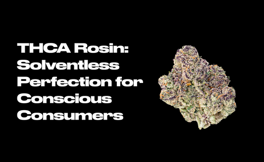 THCA Rosin: Solventless Perfection for Conscious Consumers