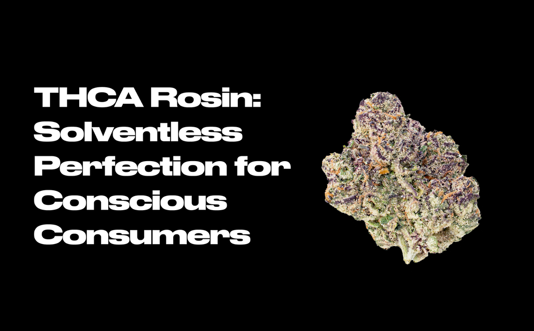 THCA Rosin: Solventless Perfection for Conscious Consumers