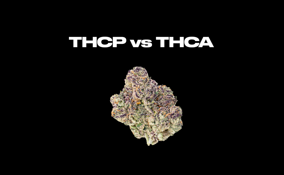THCP vs THCA