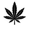 100% NATURAL THCA FLOWER