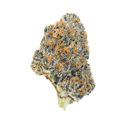 Blue Guava Purp