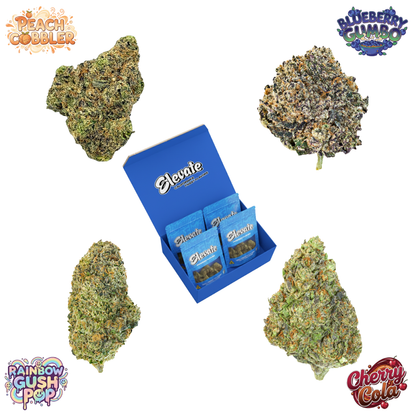 Elevate Best Sellers Bundle (14g)