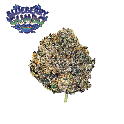 Elevate Best Sellers Bundle (14g)