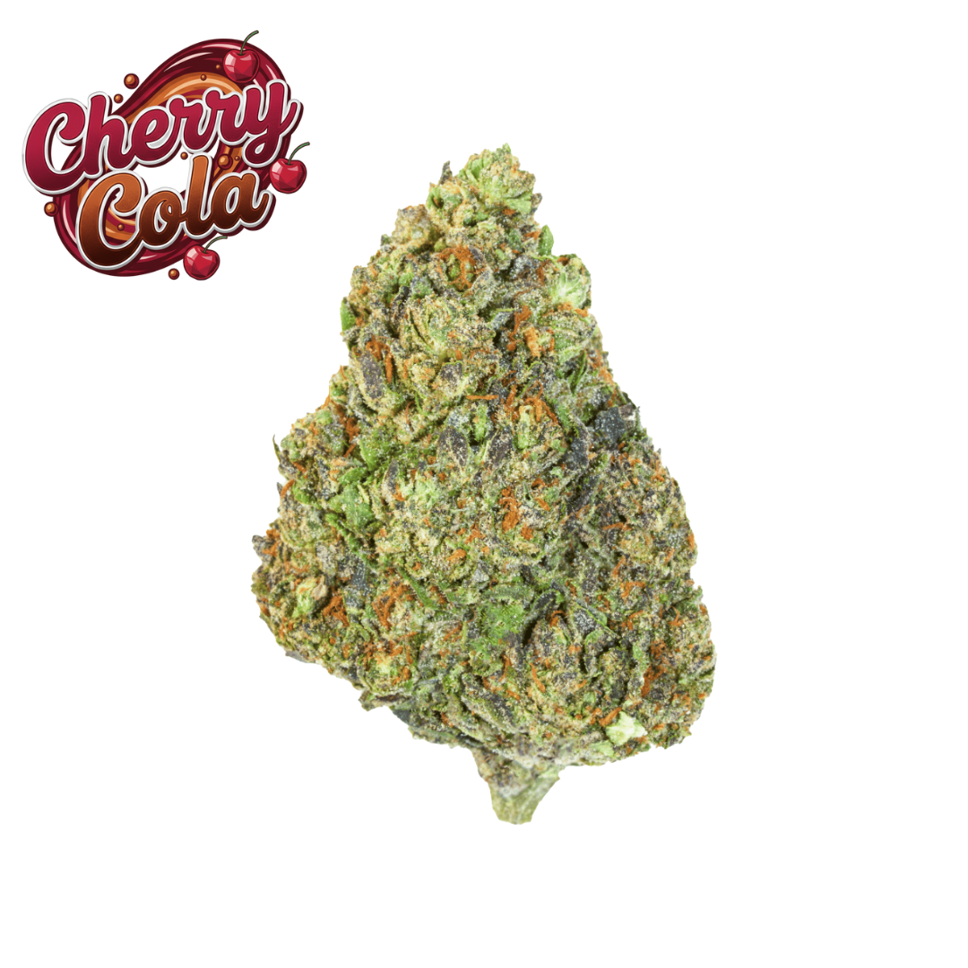 Elevate Best Sellers Bundle (14g)