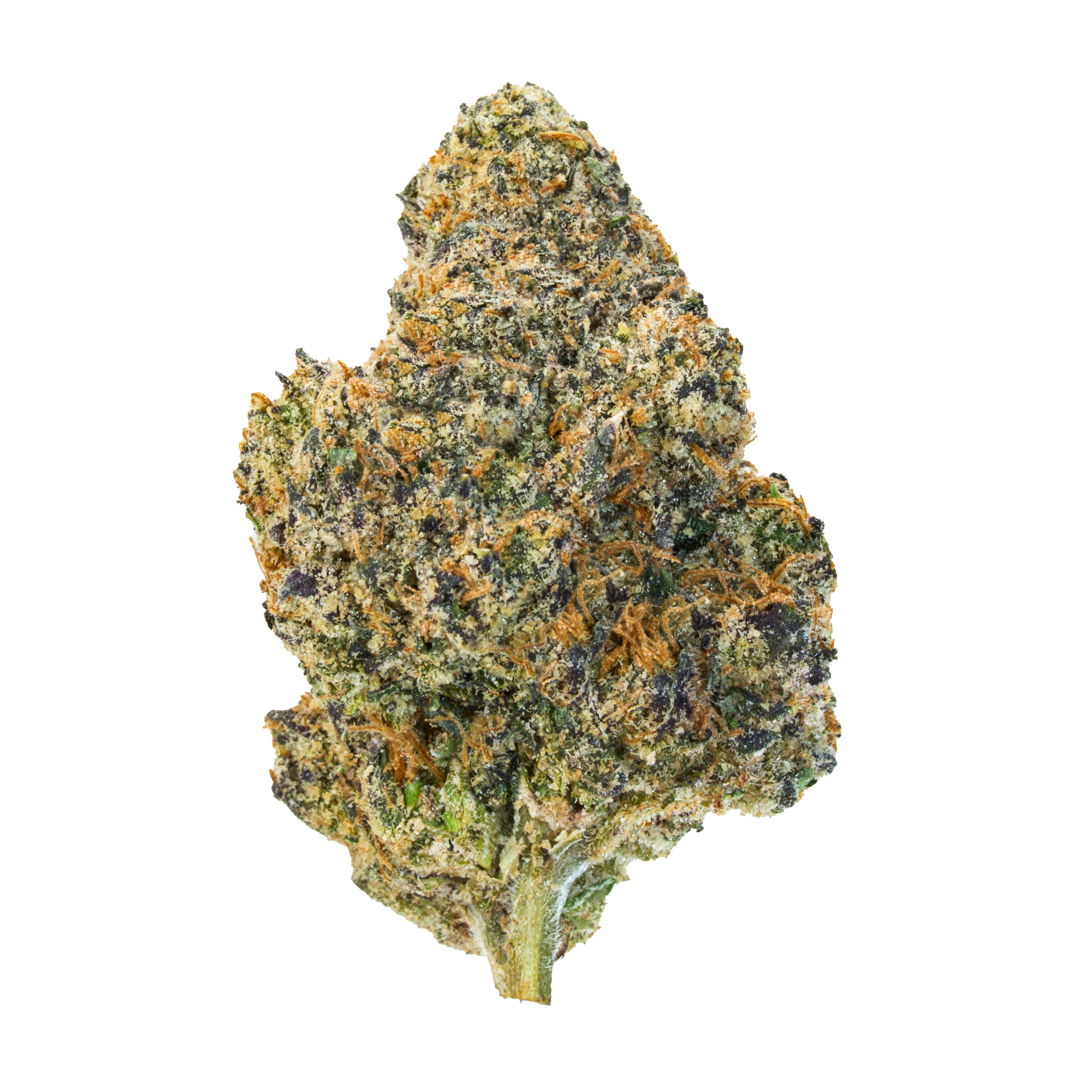 Purple Gas Mintz