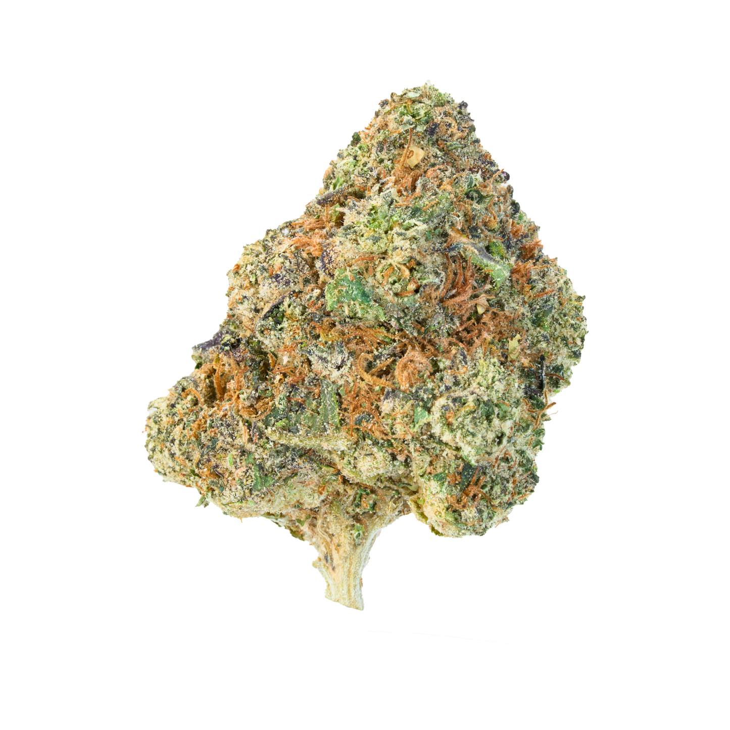 White Widow