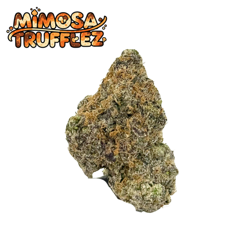 Mimosa Trufflez