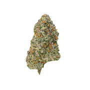 Champagne Gelato