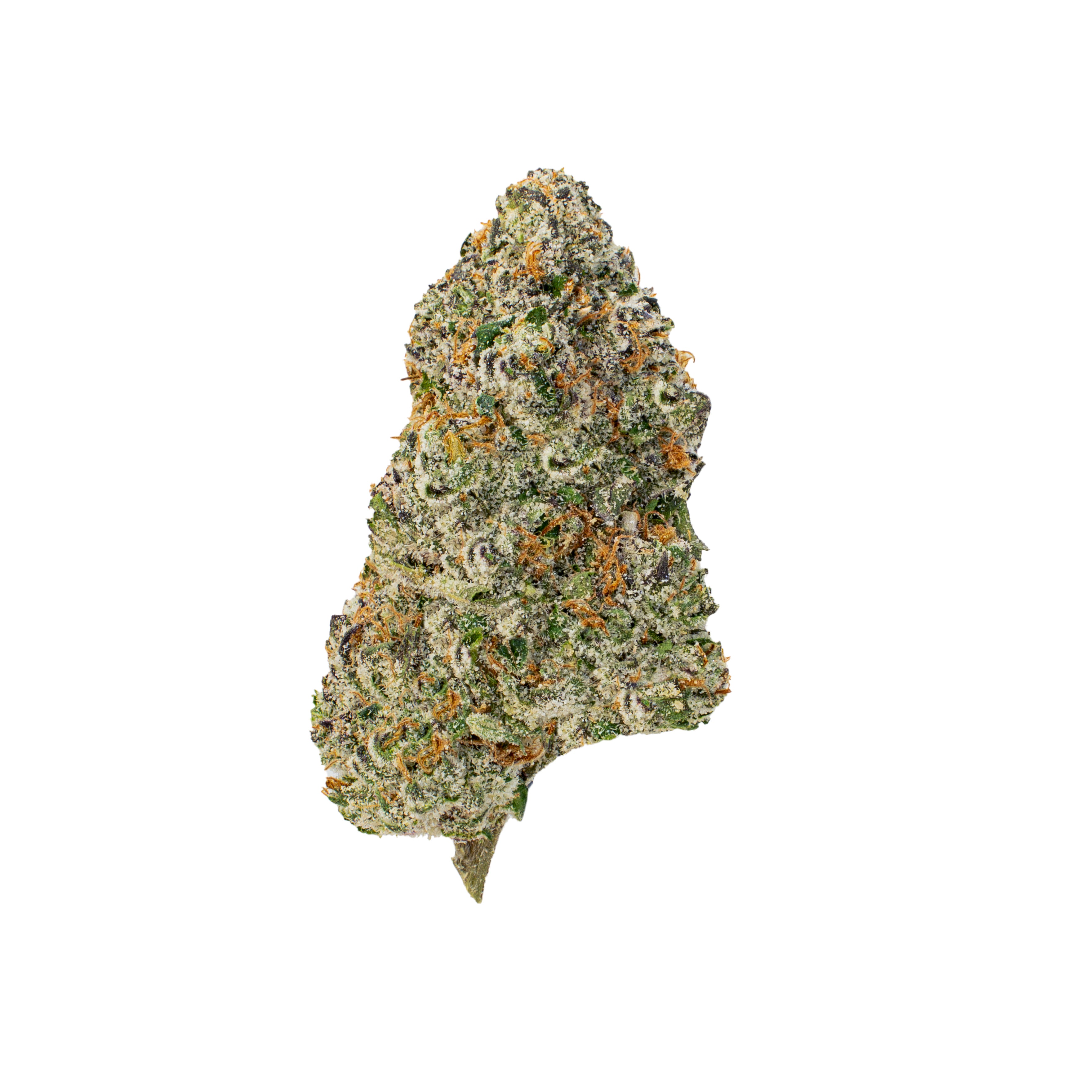 Champagne Gelato