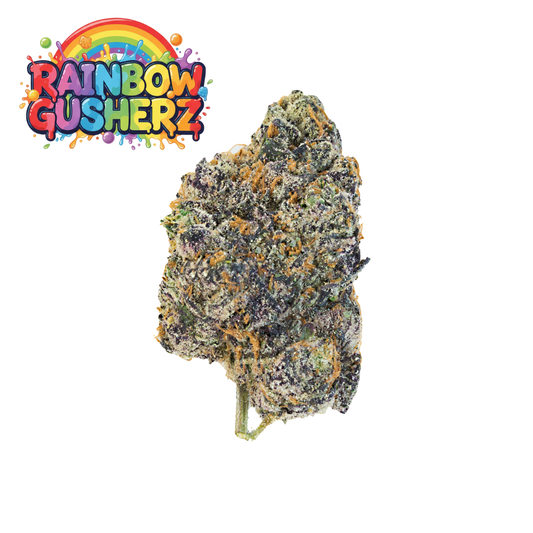 Rainbow Gusherz