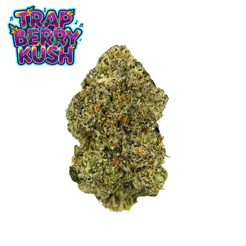 Trap Berry Kush