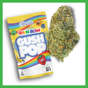Rainbow Gush Pop